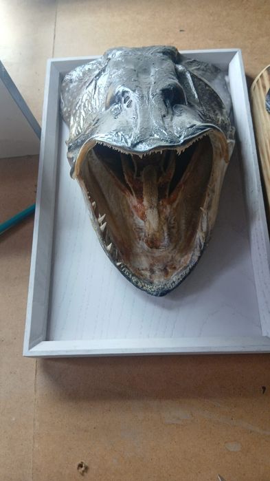 Продам чучело рукоделие