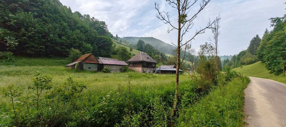 Casă în Apuseni - Muntele Găina