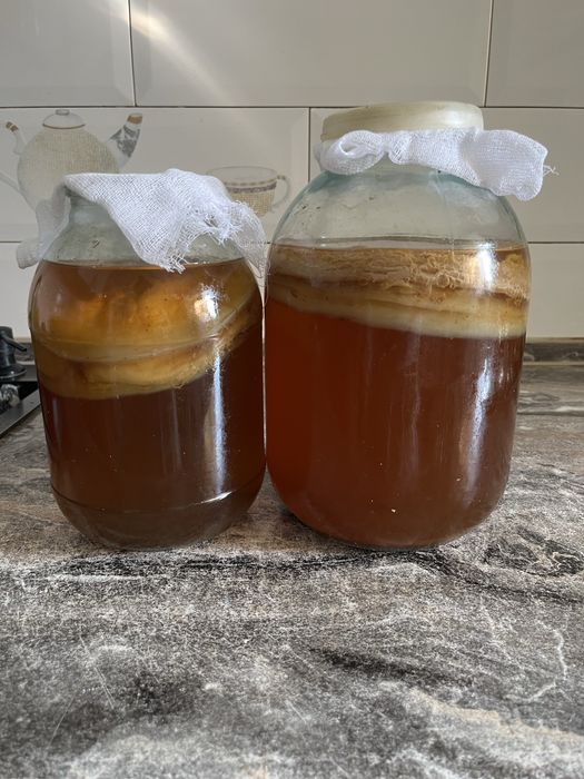 Чай грибной 800 тг 1 шт