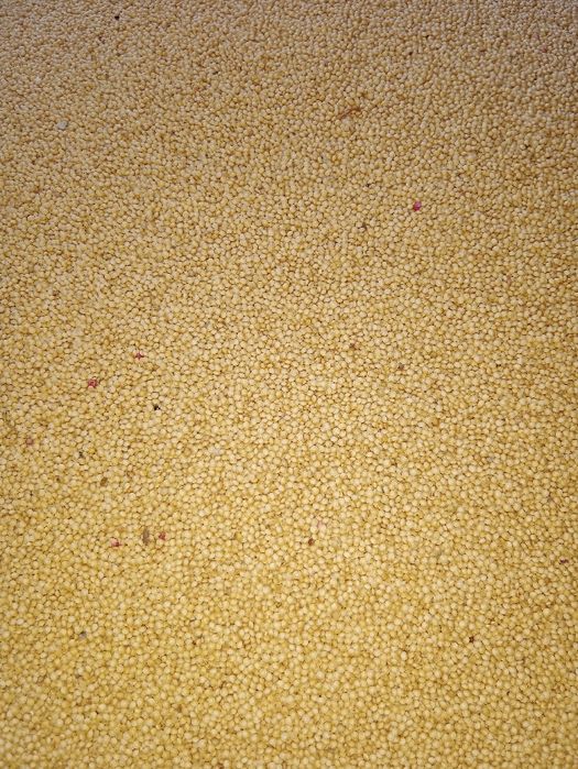 Продам зерно культуры Амарант