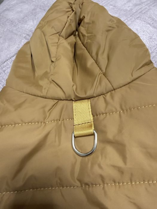 Курта лля собаки Астана