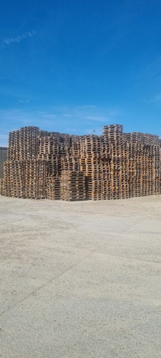 Vând paleti euro, non euro, atipici