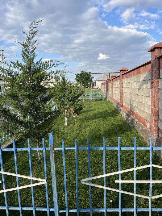 Газон орамыз Түркістан