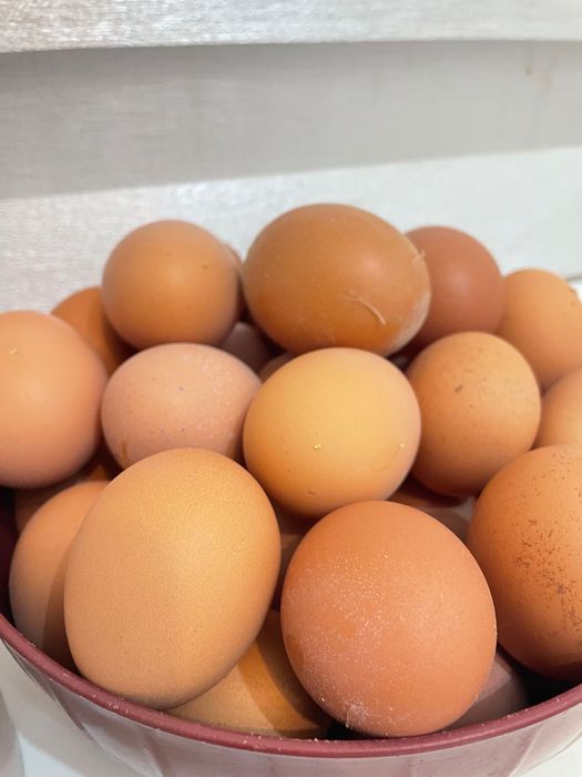 Домашние яйцо отлично качества