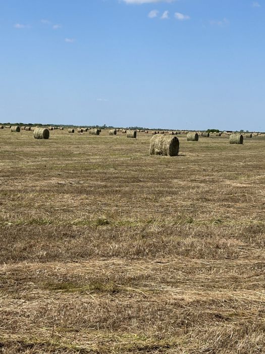 Продам Сено в рулонах