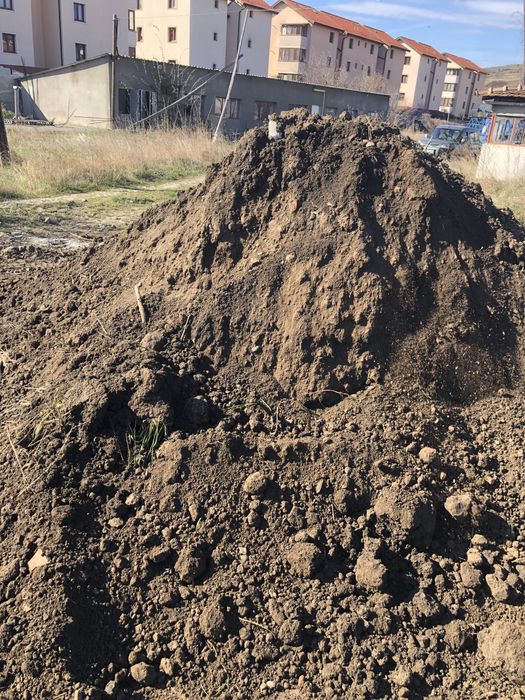 Vand pamant negru de gradina mranita ( vegetal)