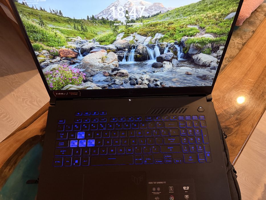 Laptop ASUS Gaming 17.3" TUF F17
