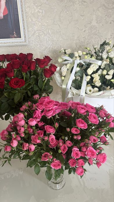 Продам цветы , выбора много , не дорого
