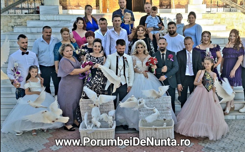 Porumbei albi Evenimente Constanta