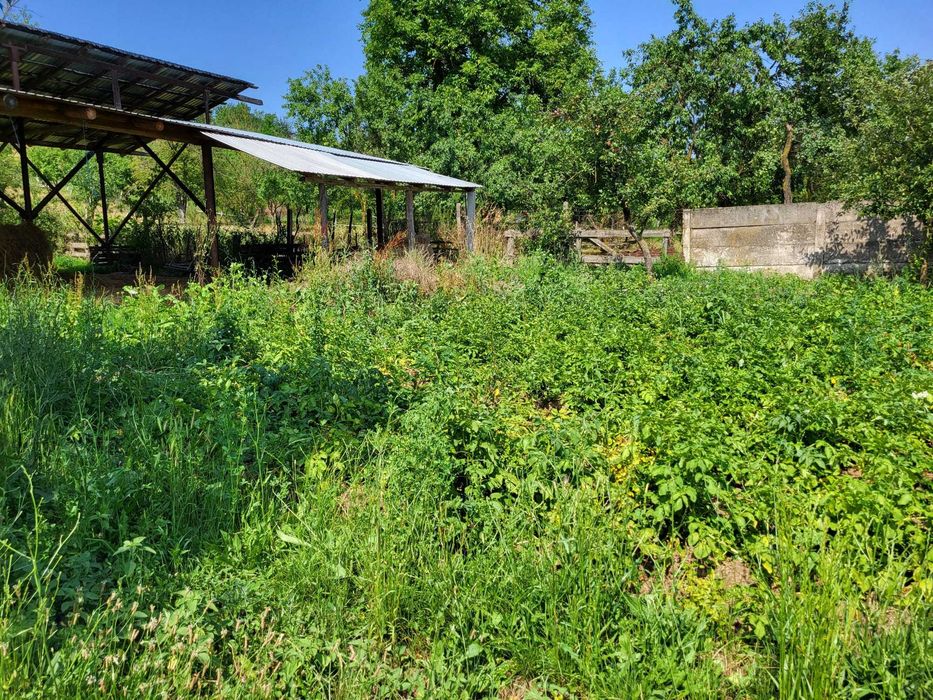 Vânzare casă cu grădină 4000m2