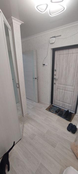 Внимание всем всем всем