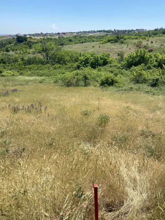 Земеделска земя Белащица/Марково