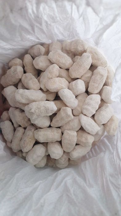 Продаю домашний ручной курт!!!