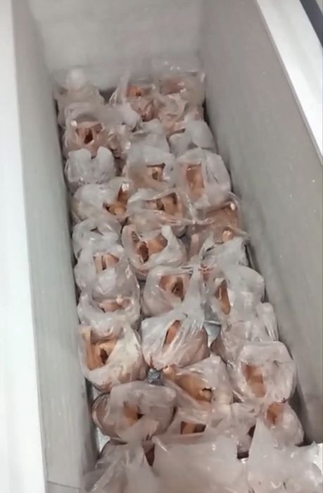 Инкубационные яйца бройлер