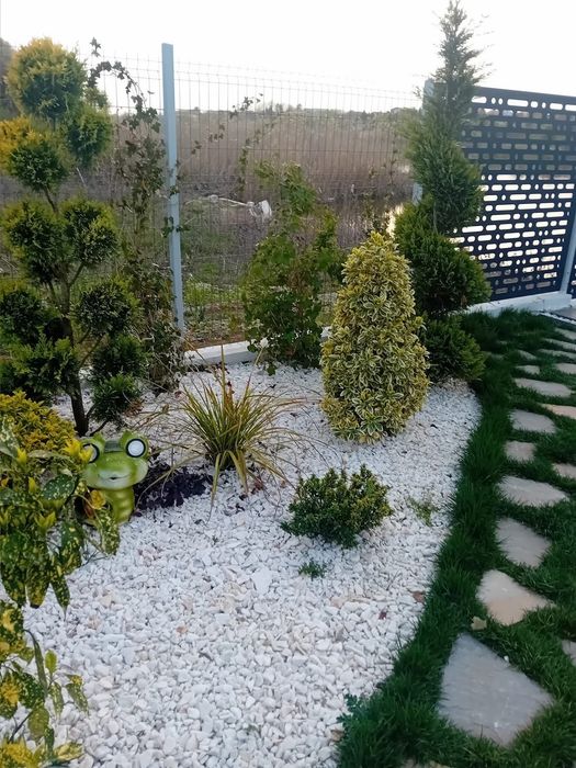 Plante Naturale din Pepeniera