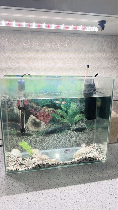 Аквариум большой