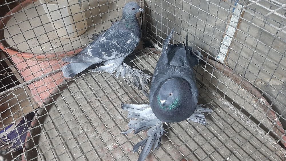 Порождается молодеж этого года