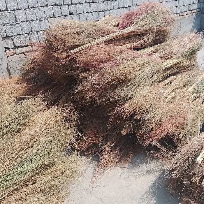 Katta hovli supurgi