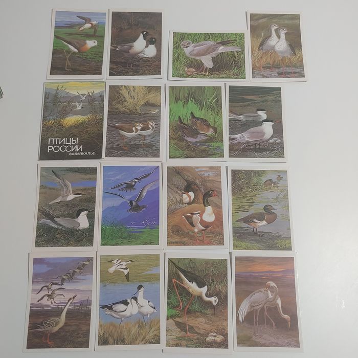Открытки СССР Караганда птицы  животные