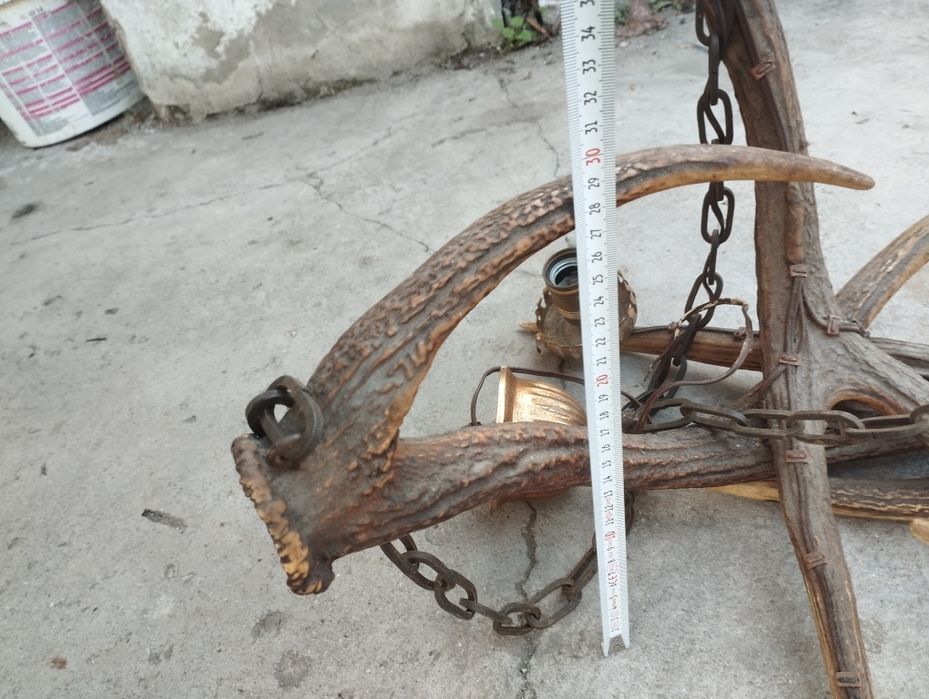 Стар полилей от 3 еленови рога