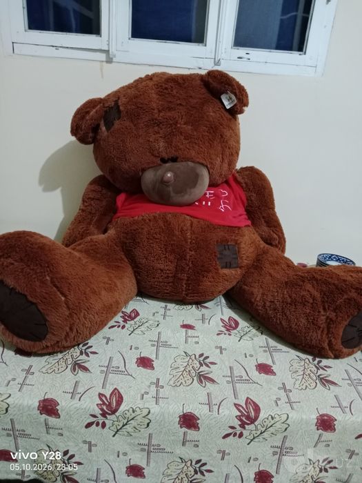 Teddy ayiq yangi