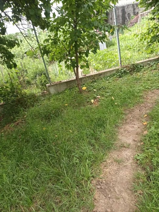 Vand teren intravilan DEJ