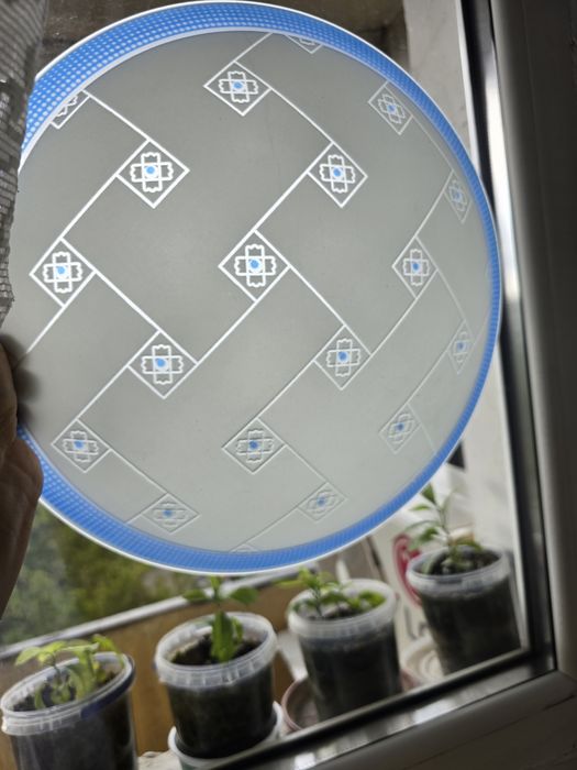 Set lot 6 aplice aplica plafoniera plafoniere sticla alb bleu Klause E