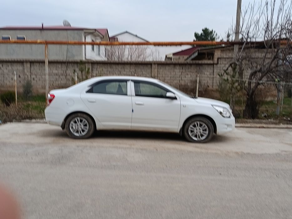 Коблт сотилади или аренда