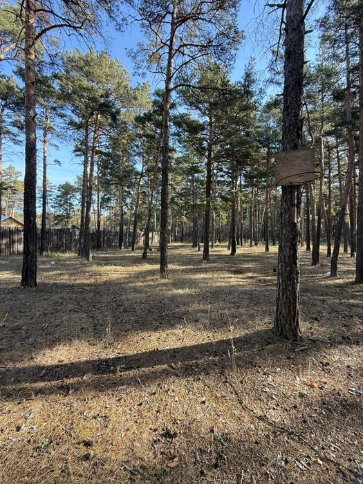 Щучинск. сан. Светлый