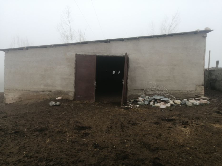 Продается Фазенда