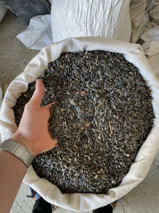 Amestec porumbei , mancare poumbei , mix porumbei