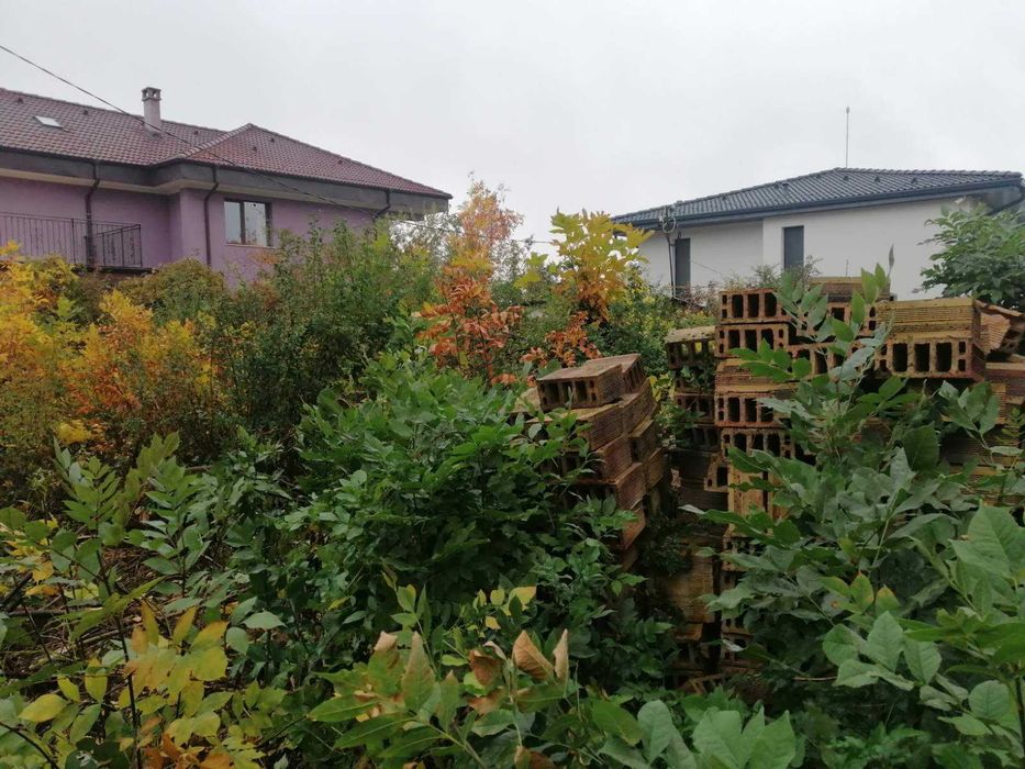 Почистване на запустели терени и двор.,дробилка за клони,горски мулчер