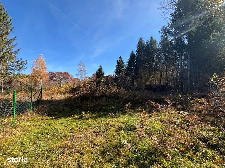 Teren intravilan 1725mp zona Valea Avrigului