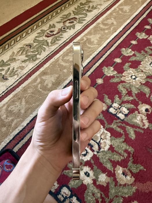 iPhone 13 pro