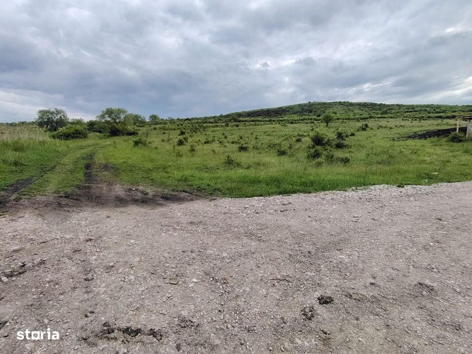 8.700 mp pentru dezvoltare rezidentiala la 3 km de CREIC - Chinteni