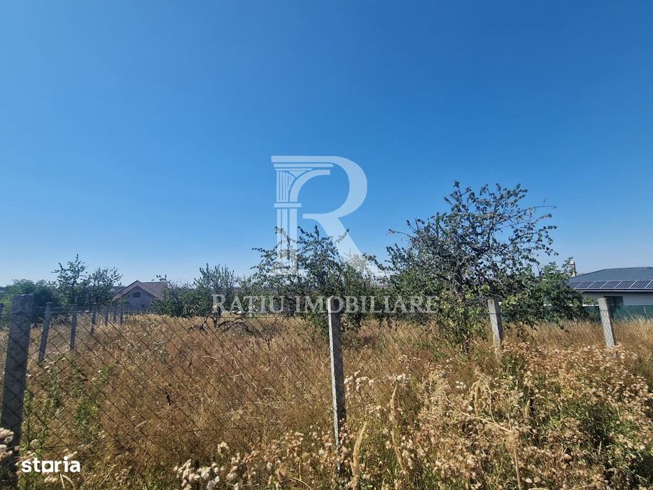 Teren Intravilan | Imprejmuit | 1000 mp | Paleu | Bihor