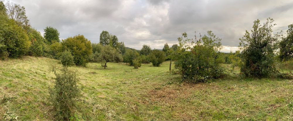Vand teren intravilan 61 ari zona de munte,13 km de Cavnic.