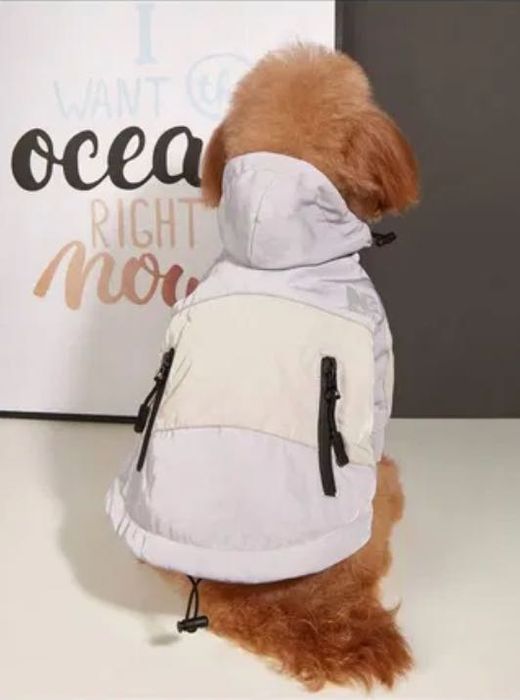 Зимно яке за куче