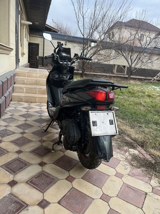 Самурай лия 2024