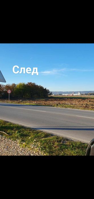 Рязане на храсти,растителности ,опасни  дървета ,парцели и дворове