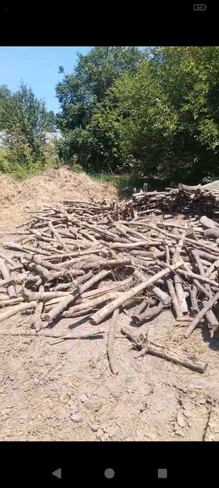 Дърва за огрев вземане от село Мусина... Павликени