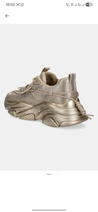 Sneakers  steve madden dama