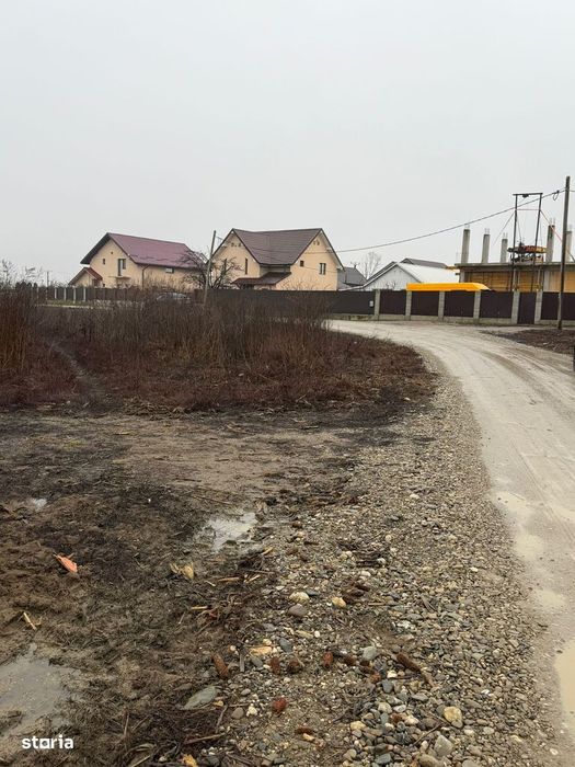 Vand Teren Hemeiusi sat Liliecipe strada prelungirea crinului