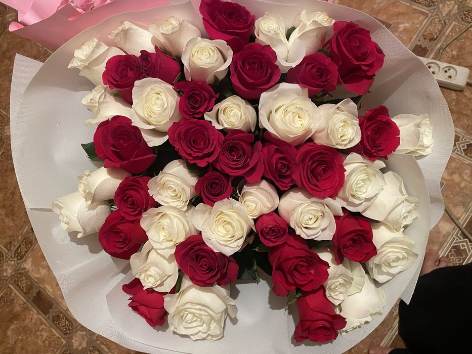 Продам цветы  розаа