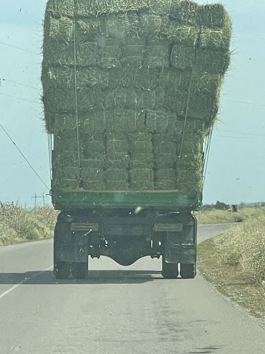 Цено,разнотравия,житняк,сабан