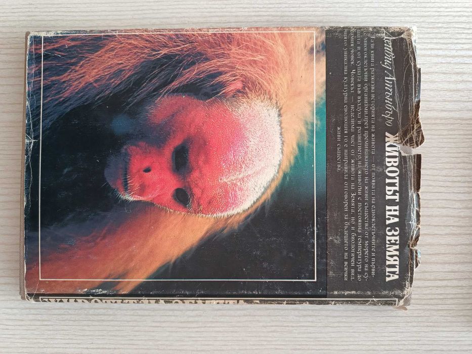 Книги - езотерика, самоусъвършенстване, енциклопедии, история и др.