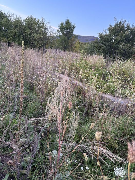 Продам землю в районе Конного двора
