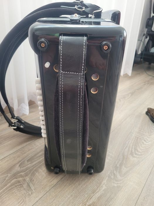 Acordeon parrot 60 de bași