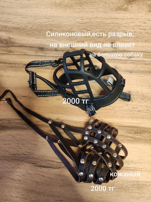 Ошейник,поводок,намордник