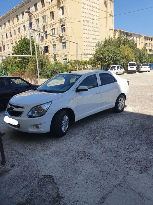 Cobalt stayl 2024